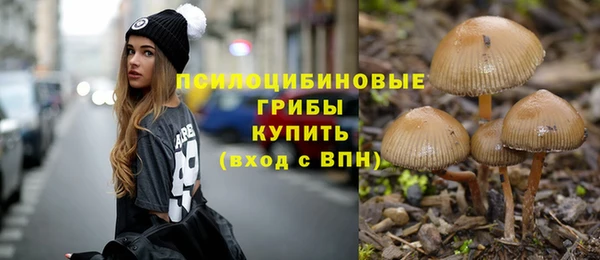 бошки Лабытнанги