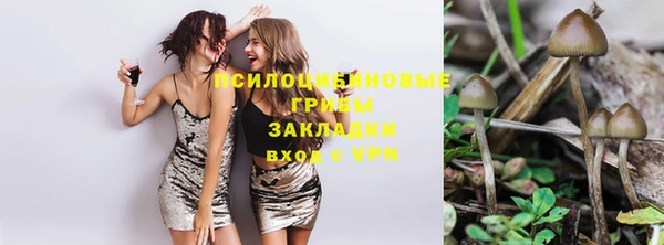 спиды Лиски