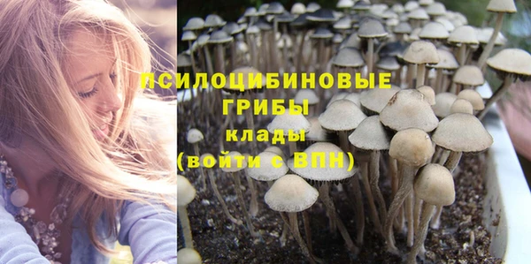 а пвп мука Липки