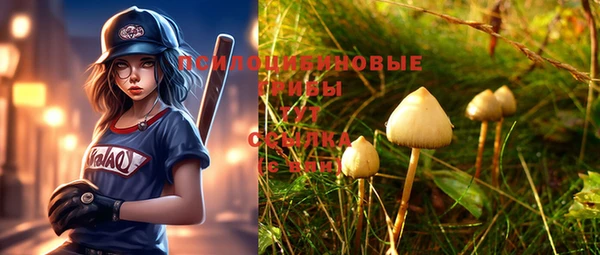 спиды Тобольск